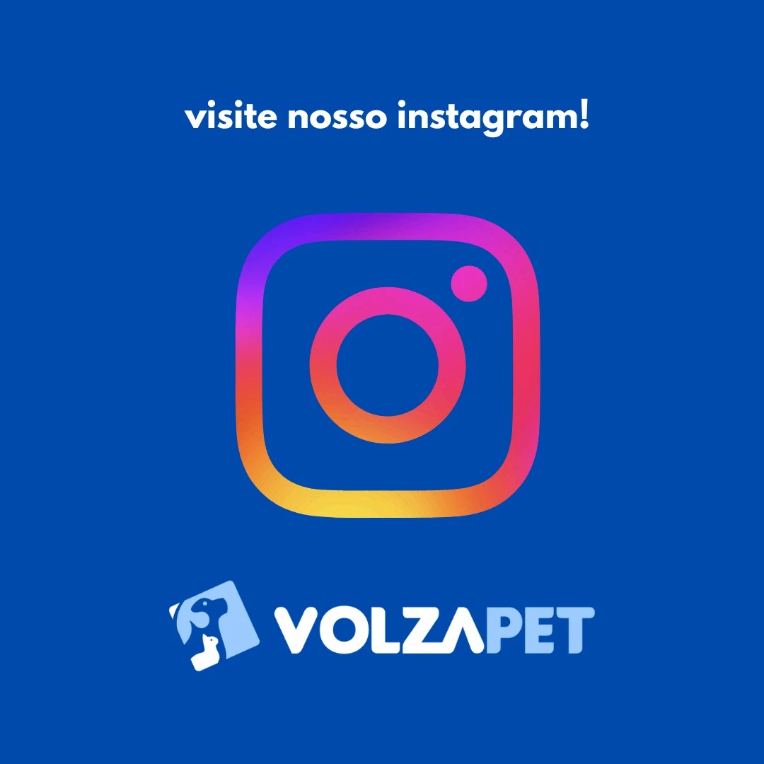 Instagram - IMG QUADRADA