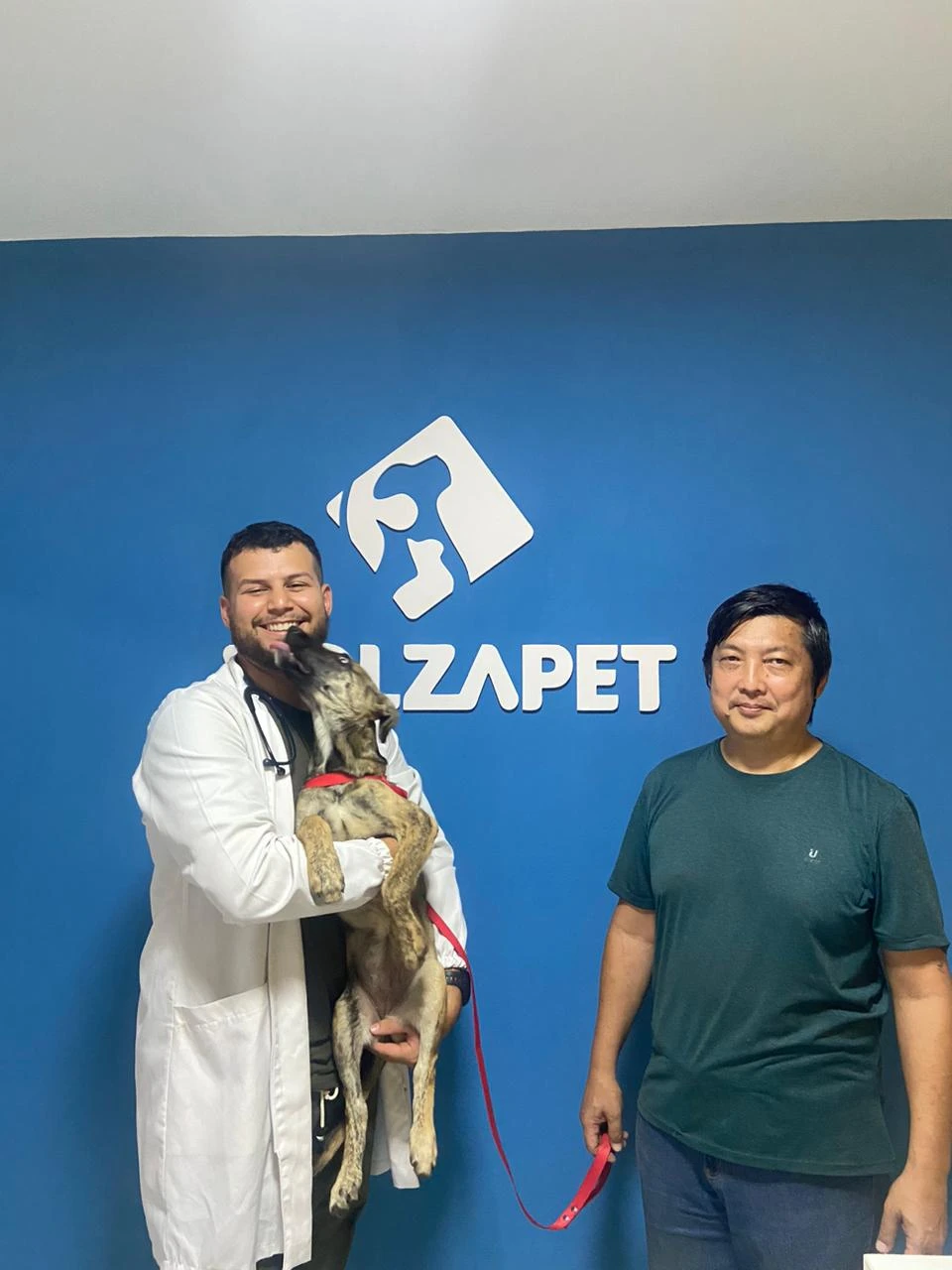 Vacinação em dia: por que manter o calendário do seu pet atualizado é essencial