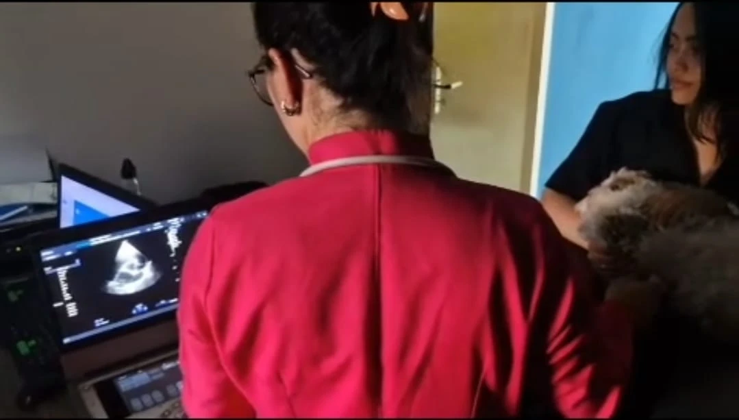 A importância do check-up cardiológico na ...