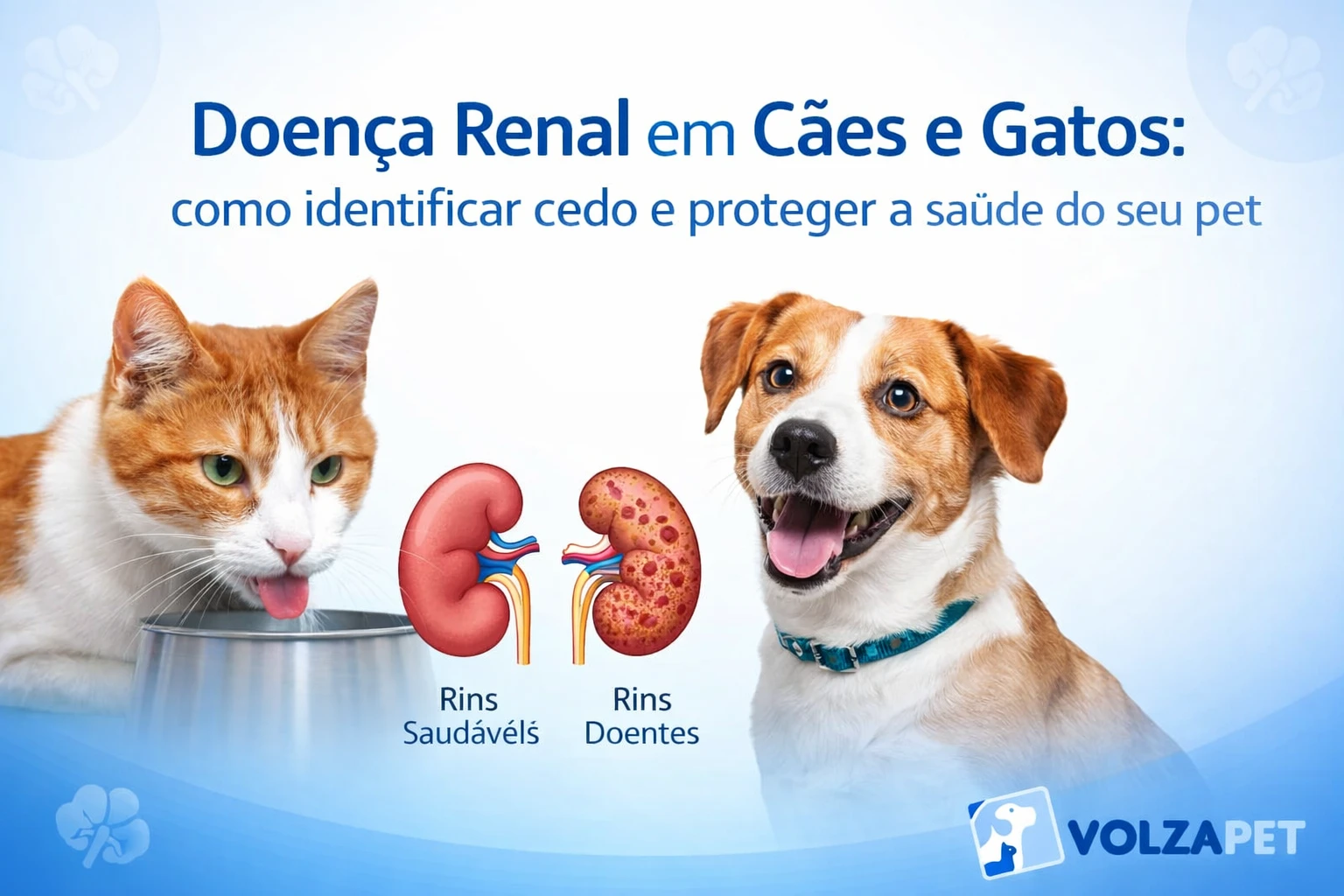 Doença Renal em Cães e Gatos: ...