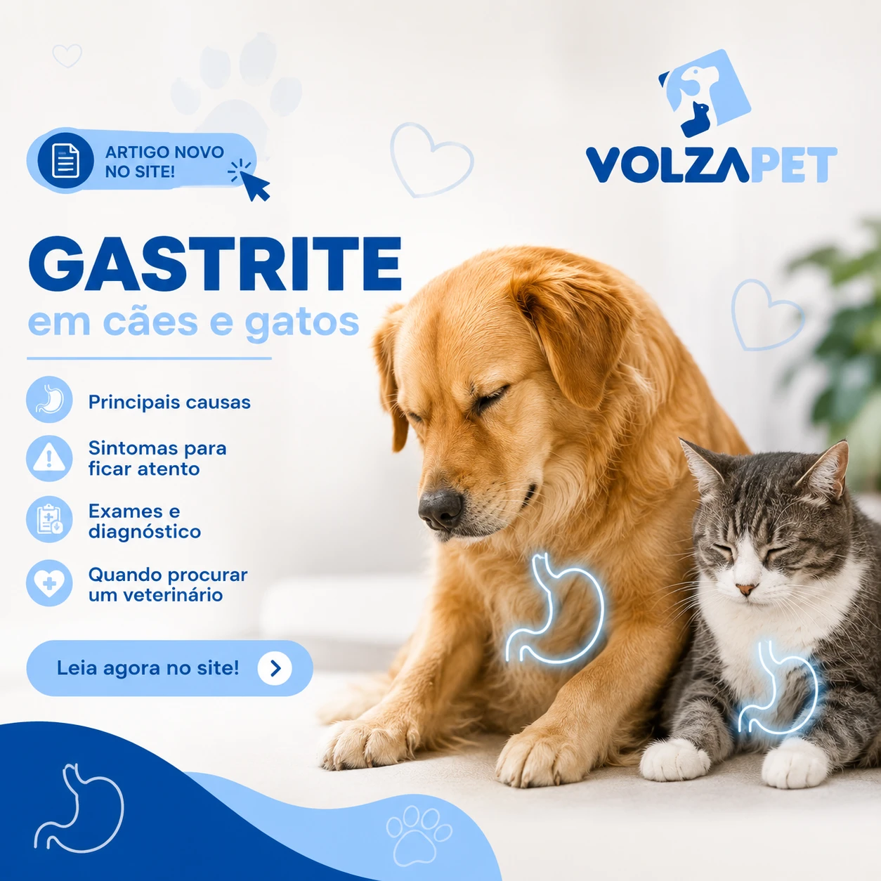 Gastrite em cães e gatos: por que esse problema é tão comum?