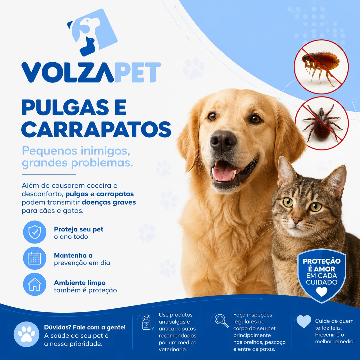 Pulgas e carrapatos podem matar? Entenda os riscos para cães e gatos