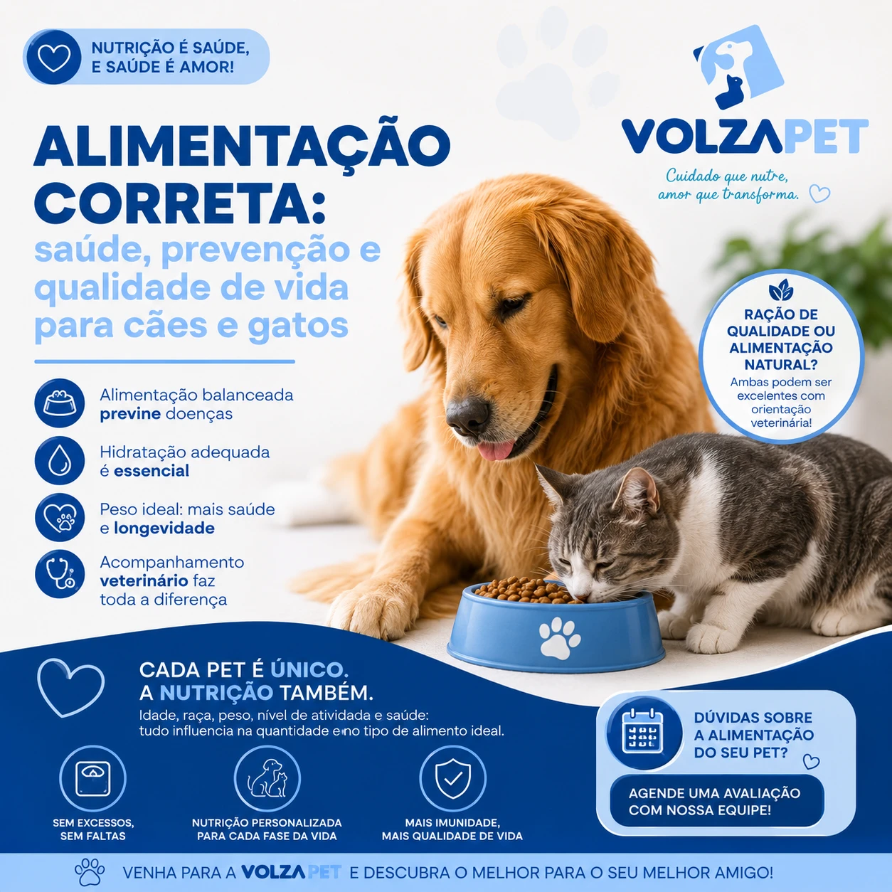 A importância da alimentação correta na ...
