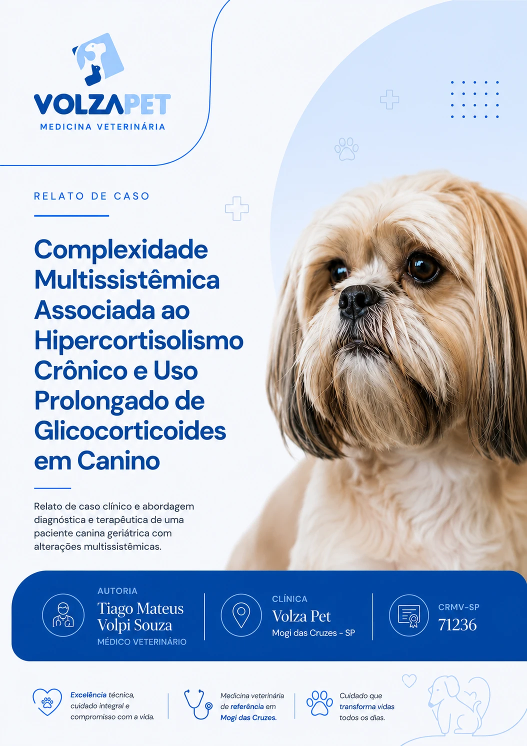 Complexidade Multissistêmica Associada ao Hipercortisolismo Crônico ...