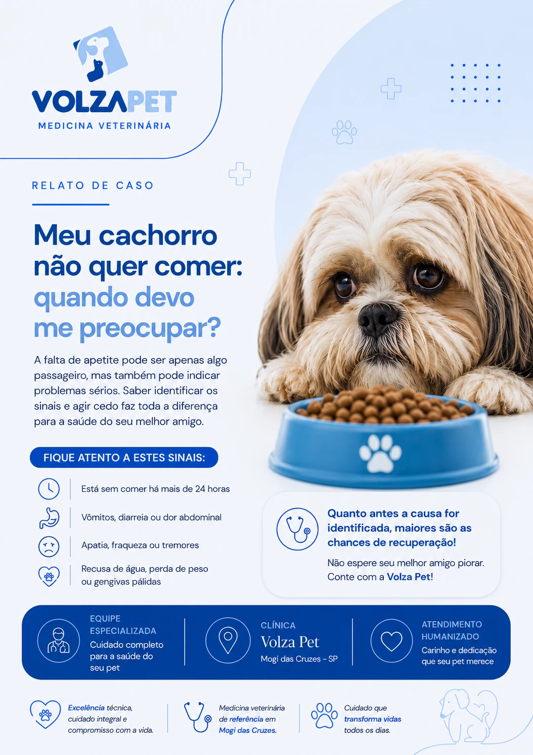 Meu cachorro não quer comer: quando devo me preocupar?