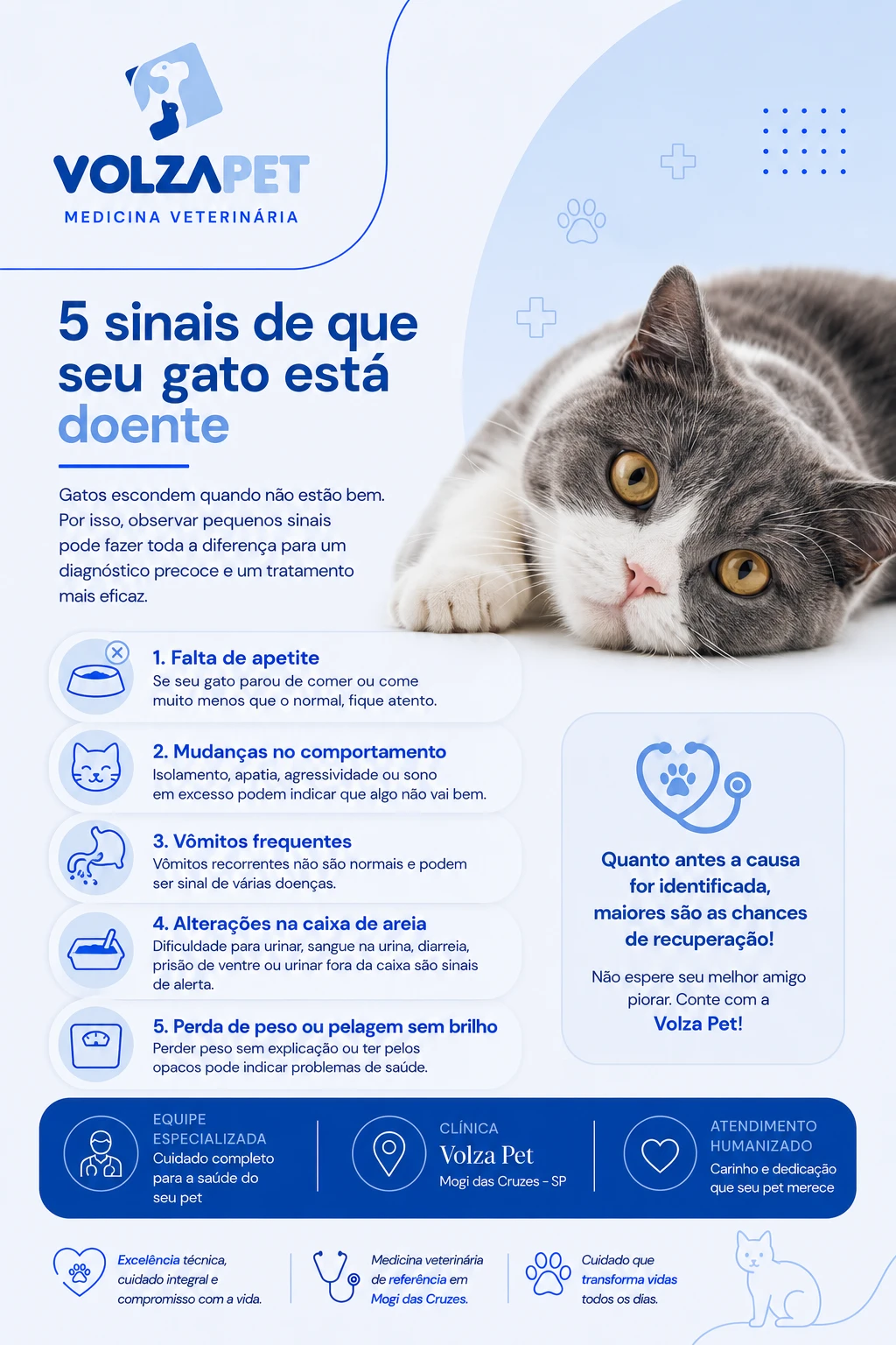 5 sinais de que seu gato está doente: saiba identificar os primeiros sintomas