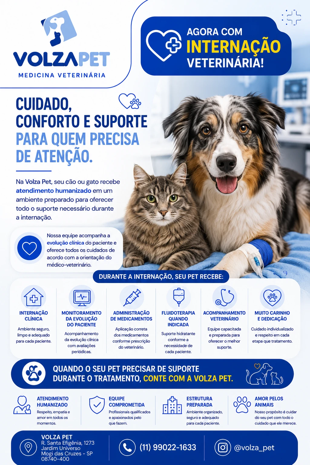 Internação Veterinária: quando ela é necessária e por que pode salvar a vida do seu pet