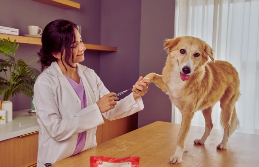 Emergência e pronto-atendimento