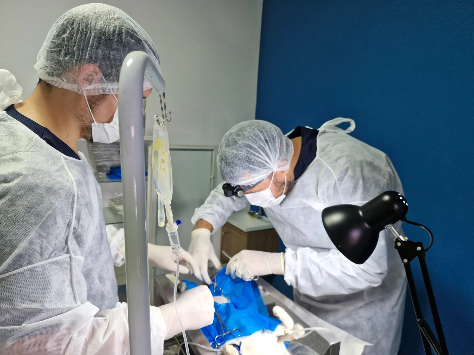 Emergência e pronto-atendimento