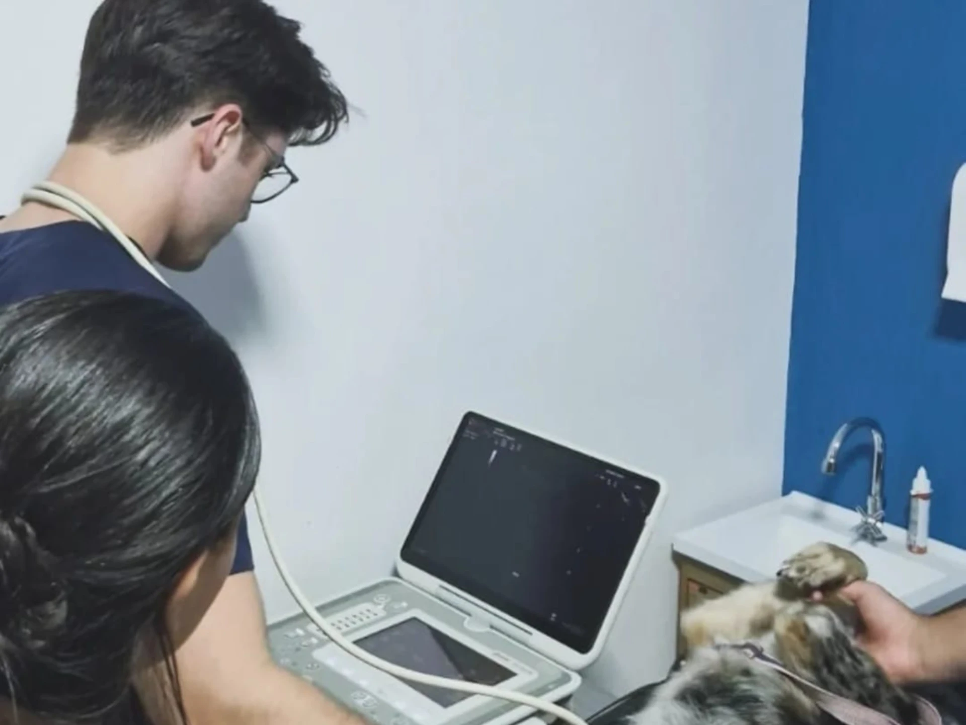 Ultrassonografia e exames de imagem