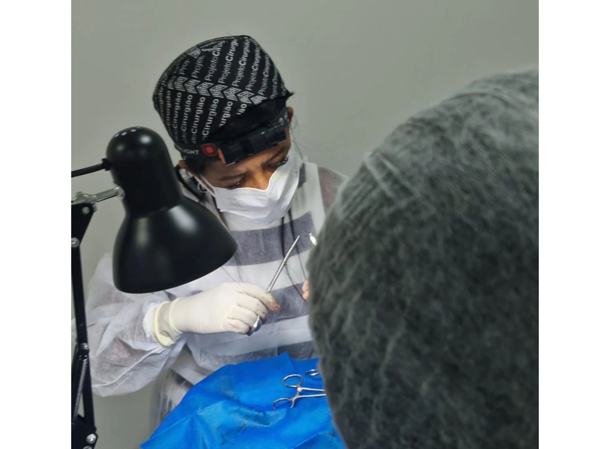 Castração de cães e gatos